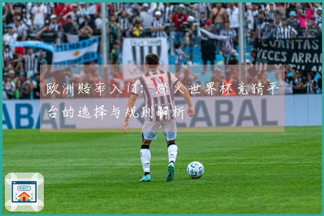 欧洲赔率入门：烽火世界杯竞猜平台的选择与规则解析