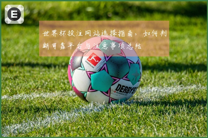 世界杯投注网站选择指南，如何判断可靠平台与注意事项总结