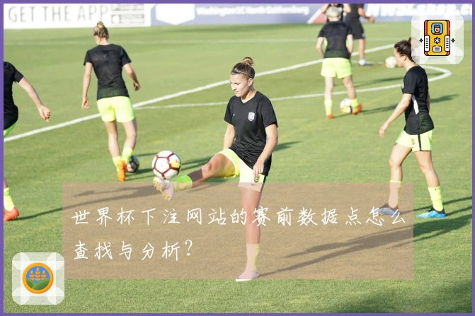 世界杯下注网站的赛前数据点怎么查找与分析？